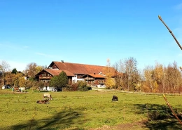 Objekt-5275-Pferdehof-Oberbayern-Evers-Foto-A.-Poschner-Suedblick Kopie