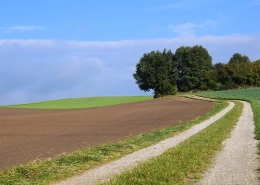 ackerland kaufen ackerboden kaufen acker kaufen grünland kaufen v2