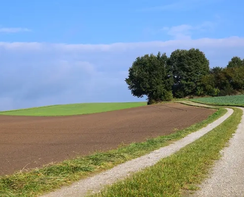 ackerland kaufen ackerboden kaufen acker kaufen grünland kaufen v2