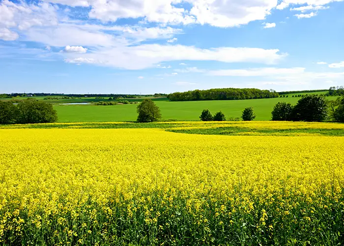 agrarobjekte verkaufen mit evers landmakler