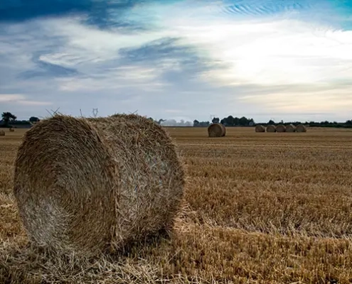 gesuche niedersachsen suche landwirtschaft suche wald suche forst suche ackerland suche grünland evers