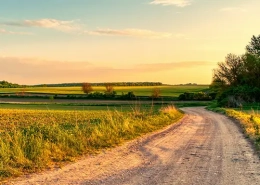 gesuche sachsen gesuche thüringen suche landwirtschaft suche wald suche forst suche ackerland suche grünland evers