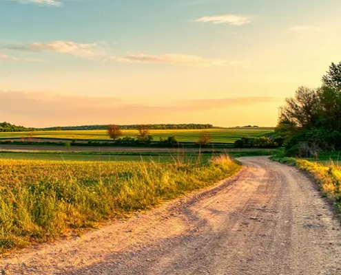 gesuche sachsen gesuche thüringen suche landwirtschaft suche wald suche forst suche ackerland suche grünland evers