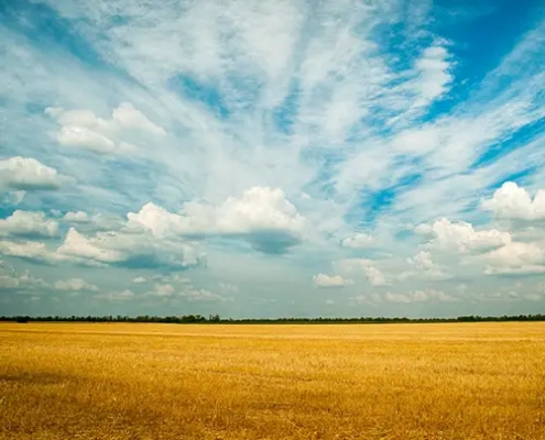 gesuche schleswig holstein suche landwirtschaft suche wald suche forst suche ackerland suche grünland evers