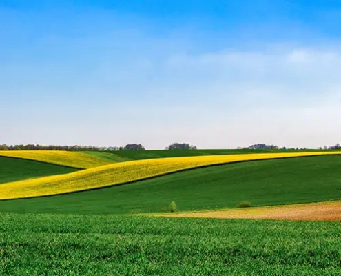 kapitalanlagen norddeutschland evers landmakler gesuche ihre immobilien anzeige v2